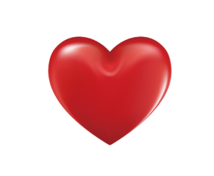 A red heart is shown on the white background.