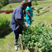 two young men work in a lush green garden